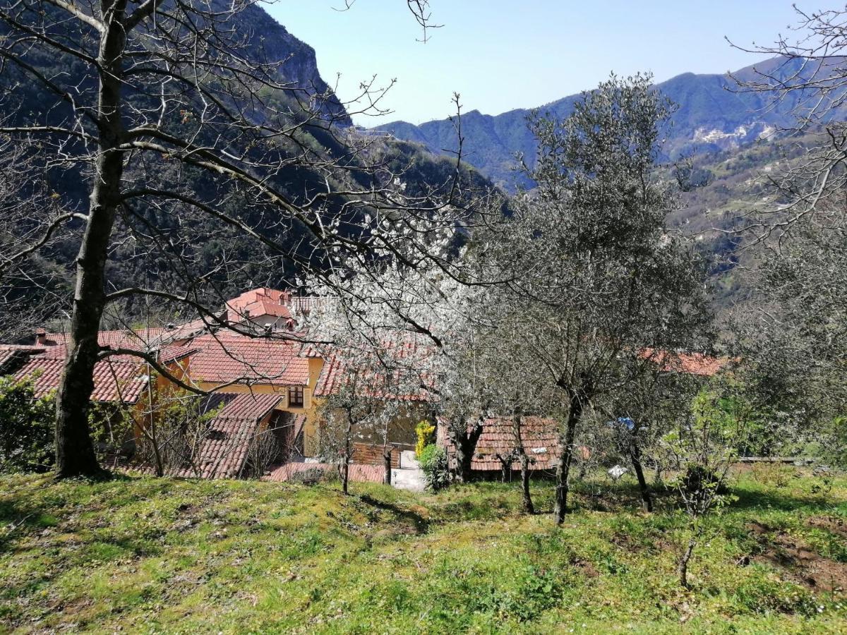 Il Metato Di Gallena Bed & Breakfast Stazzema Exterior photo