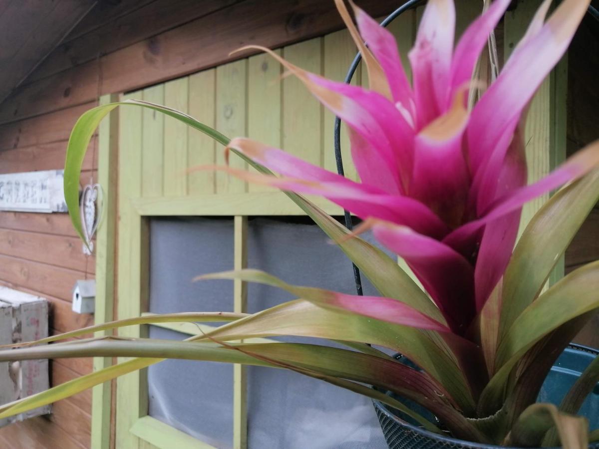 Il Metato Di Gallena Bed & Breakfast Stazzema Exterior photo
