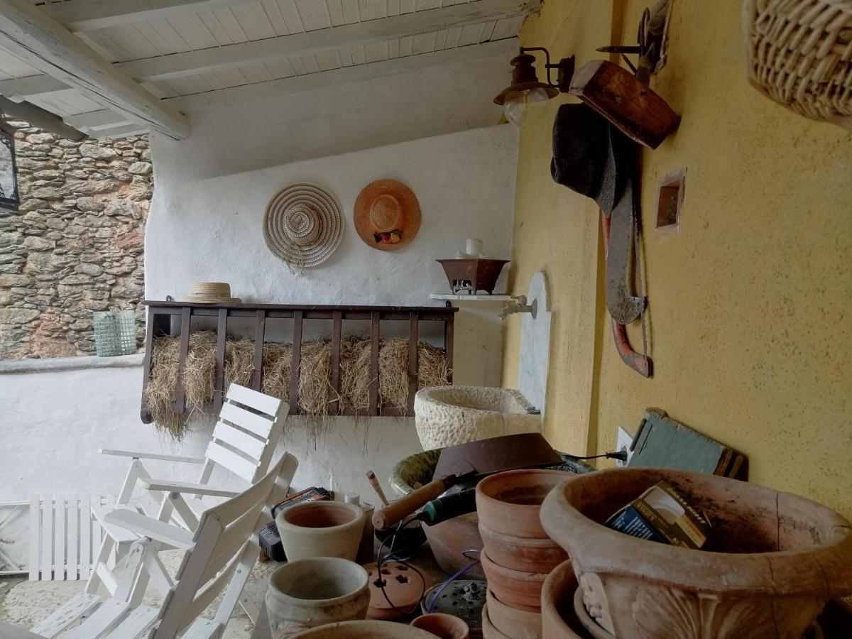 Il Metato Di Gallena Bed & Breakfast Stazzema Exterior photo